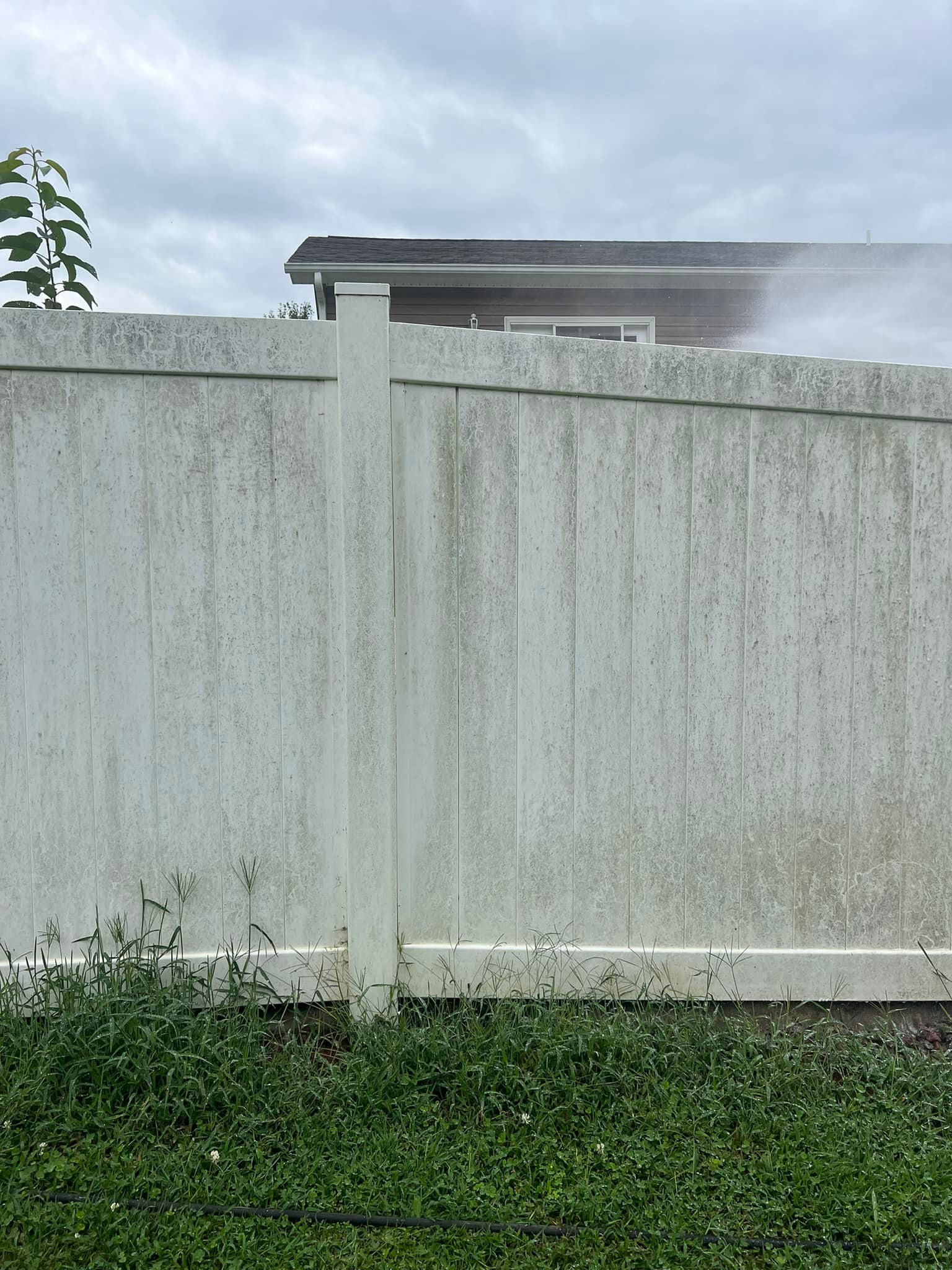 White fence with green mildew and stains.